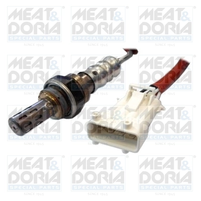 Oxygen Sensor